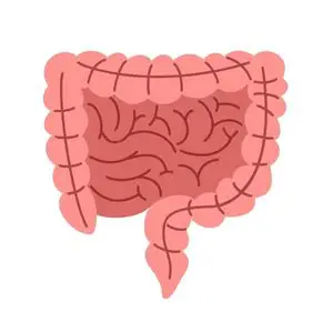 One of the 3 letter body parts is the gut.