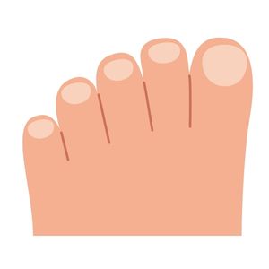 One of the 3 letter body parts is the toe.